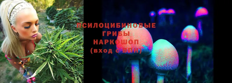 закладки  ссылка на мегу как войти  Галлюциногенные грибы MAGIC MUSHROOMS  Бирюсинск 